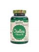 Choline + vitamin B6 90 kapsl�