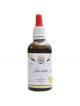 Lpa srdit AF tinktura 50 ml Tilia cordata
