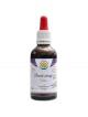 Drmek obecn� AF tinktura 50 ml plod Vitex agnus-castus