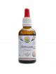 Kor�lovec Hericium AF tinktura 50 ml Hericium erinaceus