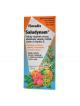 Floradix Saludynam 250 ml